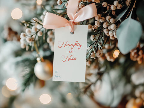 Naughty or Nice Gift Tags