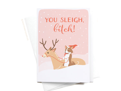 You Sleigh, B*tch Folded Greeting Note Set