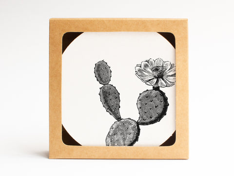 Texas Prickly Pear Coaster Set - onderkast-studio